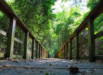 louisiana/north-louisiana/attraction/forts-randolph-buhlow-state-historic-site