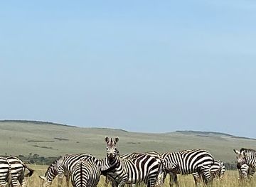 kenya/maasai-mara/attraction/lookout-hill