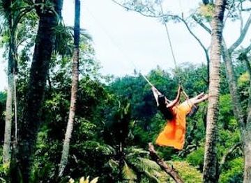 indonesia/bali/attraction/bali-private-driver