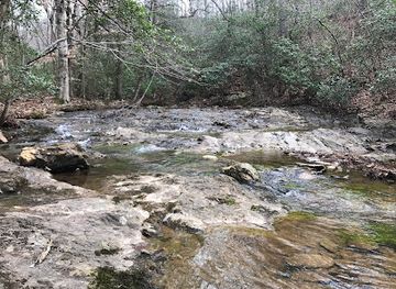 north-carolina/uwharrie-national-forest/attraction/uwharrie-trail-nc-109-trailhead