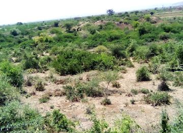 ethiopia/somali-region/attraction/porc-epic-cave