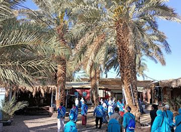 saudi-arabia/medina/attraction/kebun-kurma-abu-faisal