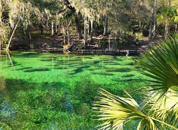 florida/orlando/attraction/blue-spring-state-park