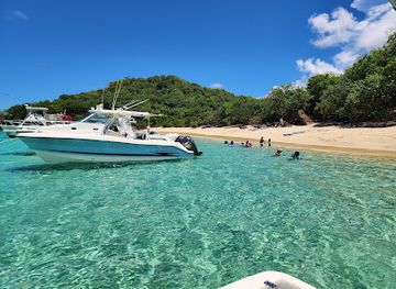 puerto-rico/culebra-island/attraction/luis-pena-beach
