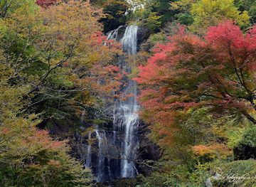 japan/kyushu/attraction/shirataki-waterfall