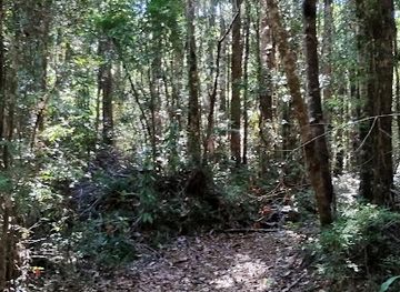 chile/puerto-varas/attraction/kewle-park