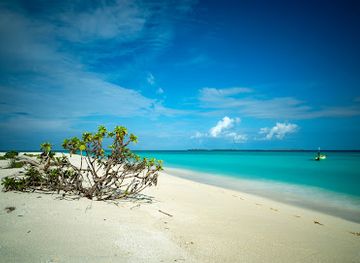 maldives/haa-dhaalu-atoll/attraction/alidhoo-finolhu