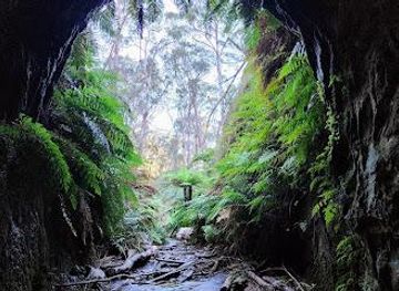 australia/blue-mountains/attraction/glow-worm-tunnel