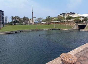 south-africa/durban/attraction/hammerhead-shark-rearing-area