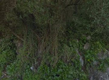 gibraltar/little-bay/attraction/douglas-pathway