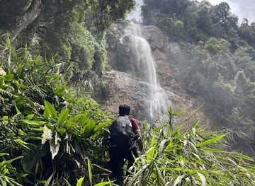 malaysia/taman-negara-national-park/attraction/4-steps-waterfall