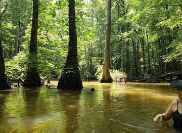 tennessee/hatchie-river-area/attraction/ghost-river-state-natural-area