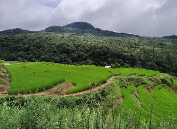 india/manipur/attraction/khangkhui-khullen-mangsor-cave
