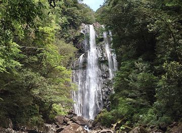 japan/kyushu/attraction/yatogi-falls