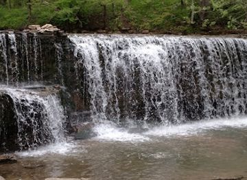 minnesota/red-river-valley/attraction/nerstrand-big-woods-state-park