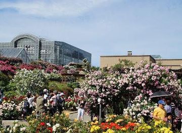 japan/fukuoka/attraction/hibikinada-ryokuchi-green-park