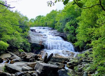 north-carolina/pisgah-national-forest/attraction/graveyard-fields-418-8