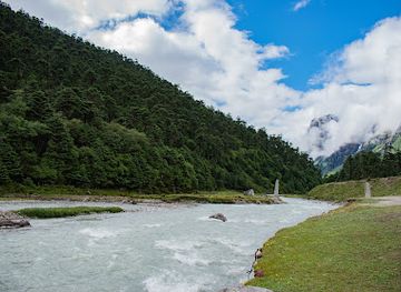 india/sikkim/attraction/valley-of-flowers