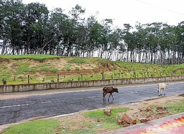 india/digha/attraction/casuarina-forest