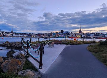 ireland/wexford/attraction/opera-grove