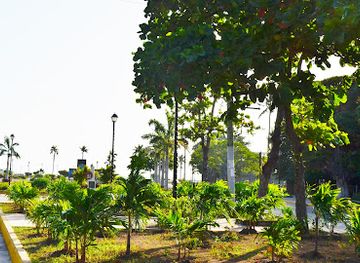 nicaragua/apoyo-lagoon/attraction/parque-azul