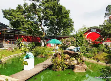 Live Turtle Museum (Singapore)