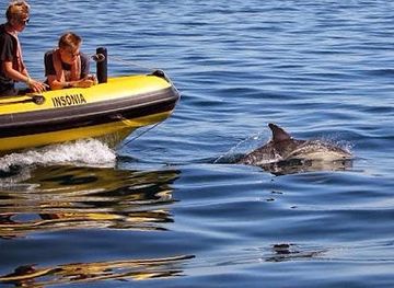 portugal/faro/attraction/dream-wave-algarve-dolphin-watching-caves-boat-tours-jet-ski-and-power-boat