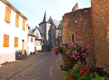 france/alsace-wine-route/attraction/musee-du-vignoble-et-des-vins-d-alsace