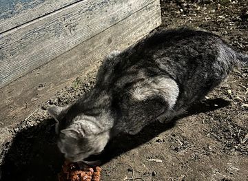 ukraine/sumy-region/attraction/dim-kota