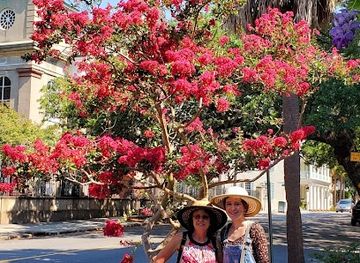 south-carolina/charleston/attraction/st-michael-s-alley