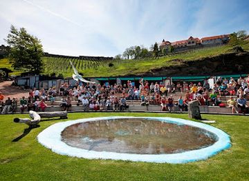 austria/burgenland/attraction/greifvogelwarte-riegersburg