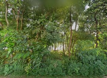 bangladesh/cox-s-bazar/inani-beach/attraction/inani-khaler-mohana