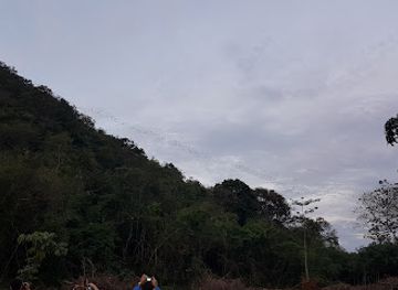 thailand/khao-yai-national-park/attraction/bat-viewing-road