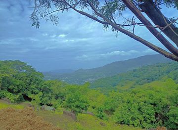 nicaragua/matagalpa-coffee-region/attraction/finca-del-carmen-lopez-lopez