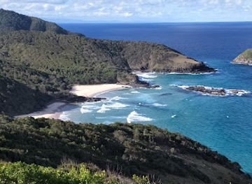 australia/mid-north-coast/attraction/bongil-bongil-national-park