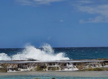 puerto-rico/isabela/attraction/pozo-de-teodoro