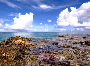 marshall-islands/kili-island/attraction/kili