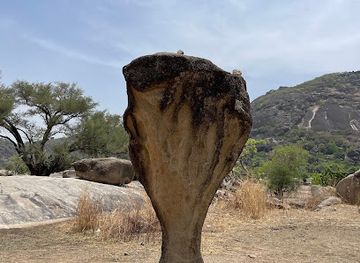 cameroon/adamawa-plateau/attraction/entree-lac-aux-crocodiles-de-boboyo