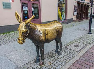 poland/bydgoszcz/attraction/the-spanish-donkey