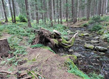 slovakia/zilina-region/attraction/dreveny-slon