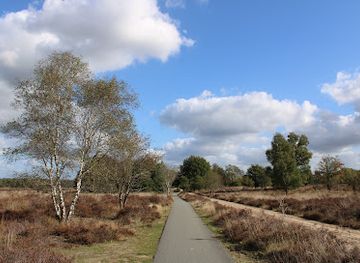 netherlands/veluwe/attraction/ermelosche-heide
