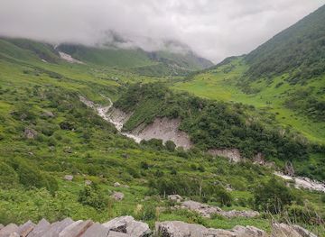 india/valley-of-flowers-national-park/attraction/valley-of-flowers-2-km
