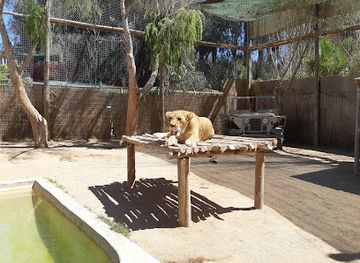 chile/la-serena/attraction/la-serena-zoo