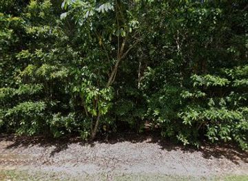 australia/cape-tribulation/attraction/wild-wings-swampy-things