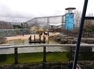 belgium/dyle-valley/attraction/sea-life-blankenberge