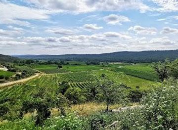 france/nimes/attraction/castle-lancyre-wines-in-pic-saint-loup