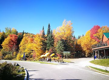 canada/eastern-townships/attraction/parc-national-du-mont-megantic-provincial-park