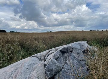 poland/lubusz-land/attraction/glaz-lezacy-slon