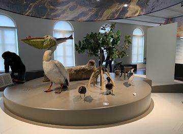 belgium/hainaut/attraction/regional-museum-of-natural-sciences