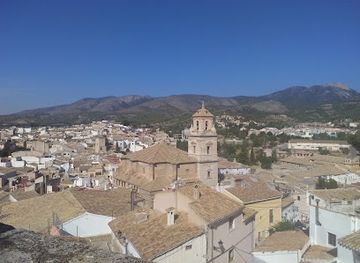 spain/murcia-region/attraction/museo-del-vino